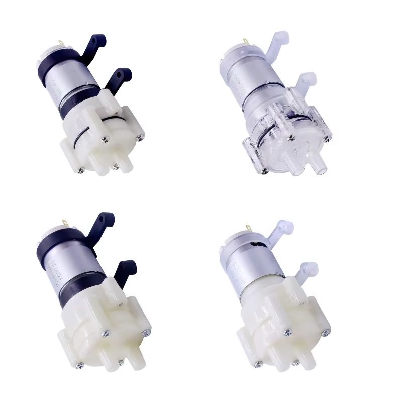 R365 Mini Diafragma Waterpomp  - Mini Peristaltic Pump 12V recensie en prijs
